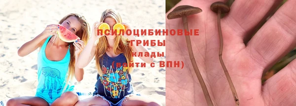 spice Армянск