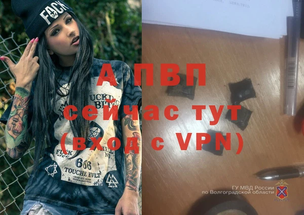 spice Армянск