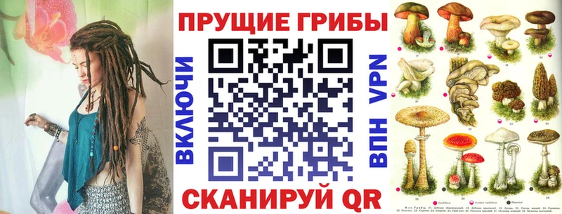 как найти закладки  Лаишево  Псилоцибиновые грибы Psilocybine cubensis 